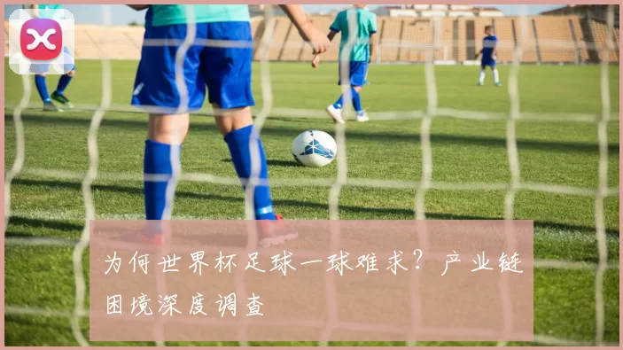 为何世界杯足球一球难求?产业链困境深度调查
