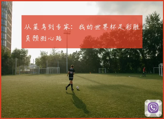 从菜鸟到专家:我的世界杯足彩胜负预测心路