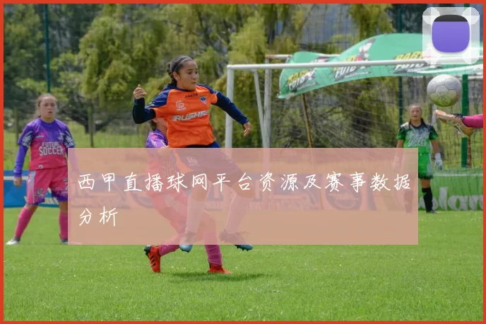 西甲直播球网平台资源及赛事数据分析