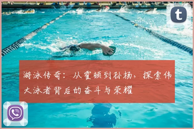 游泳传奇：从霍顿到孙杨，探索伟大泳者背后的奋斗与荣耀