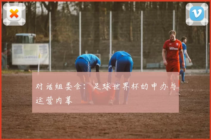 对话组委会:足球世界杯的申办与运营内幕