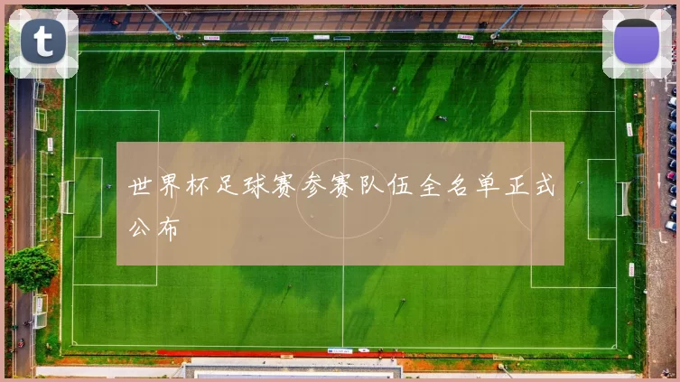 世界杯足球赛参赛队伍全名单正式公布