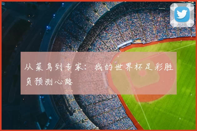 从菜鸟到专家:我的世界杯足彩胜负预测心路