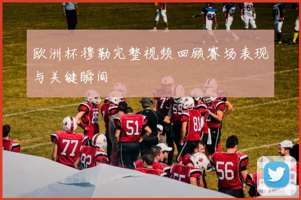 欧洲杯穆勒完整视频回顾赛场表现与关键瞬间