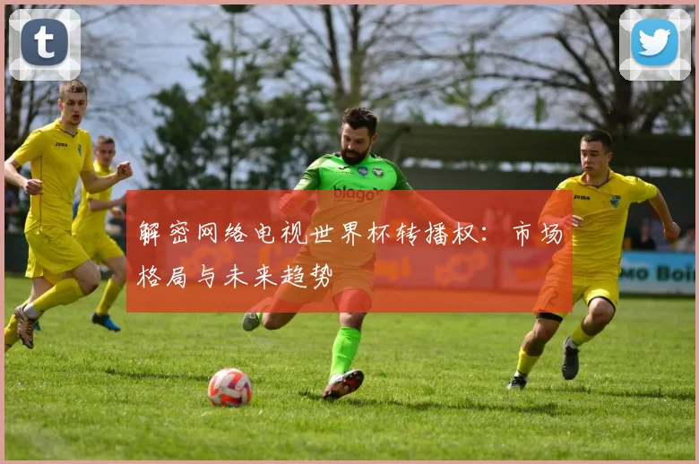 解密网络电视世界杯转播权：市场格局与未来趋势