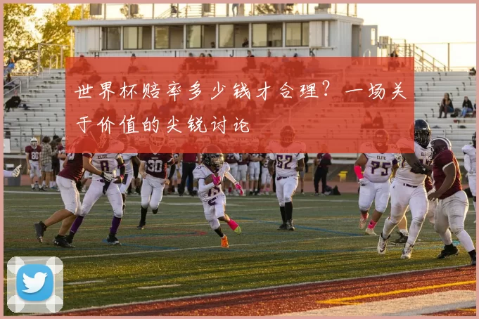 世界杯赔率多少钱才合理?一场关于价值的尖锐讨论