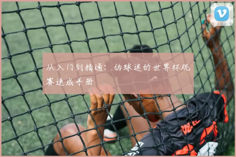 从入门到精通:伪球迷的世界杯观赛速成手册