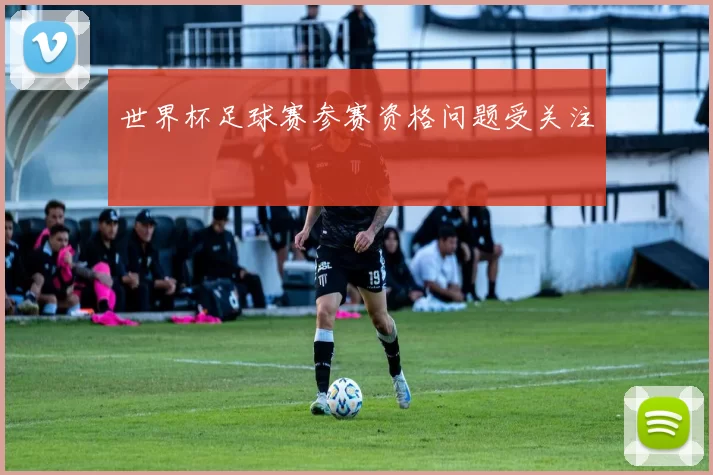 世界杯足球赛参赛资格问题受关注