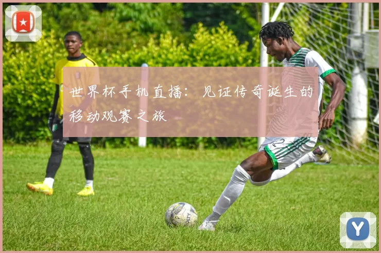 世界杯手机直播:见证传奇诞生的移动观赛之旅