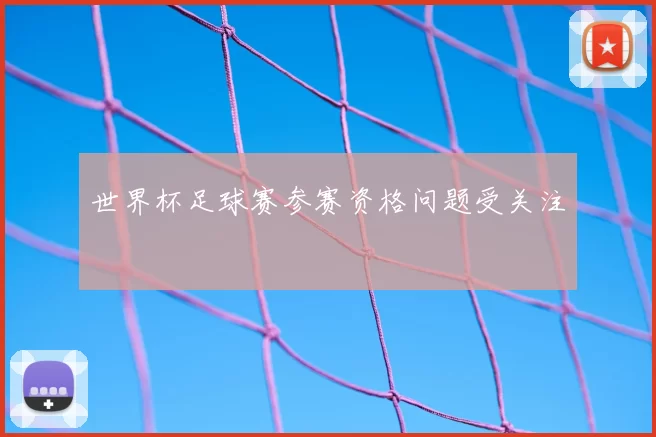 世界杯足球赛参赛资格问题受关注