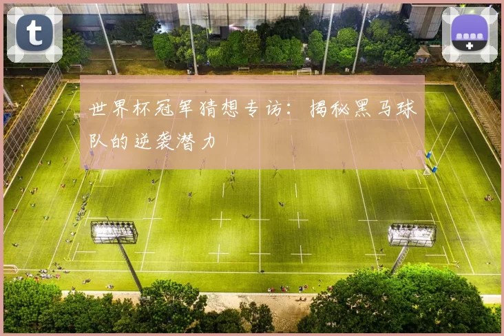 世界杯冠军猜想专访:揭秘黑马球队的逆袭潜力
