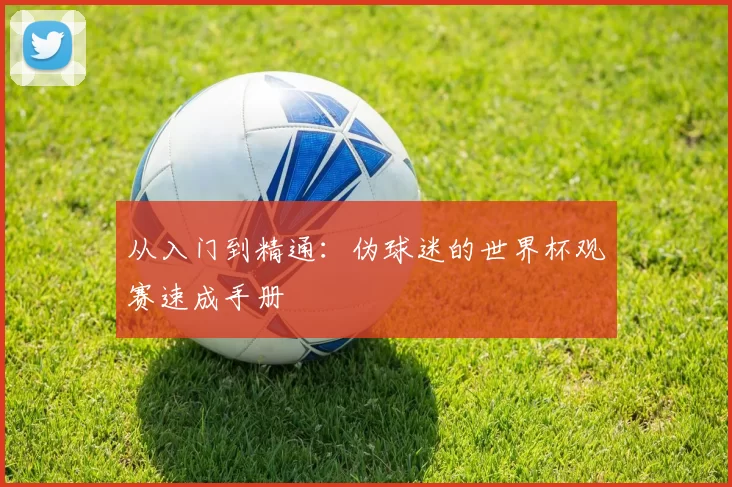 从入门到精通:伪球迷的世界杯观赛速成手册