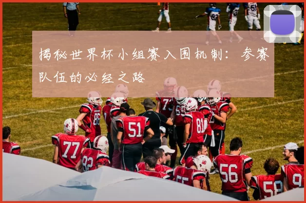 揭秘世界杯小组赛入围机制:参赛队伍的必经之路