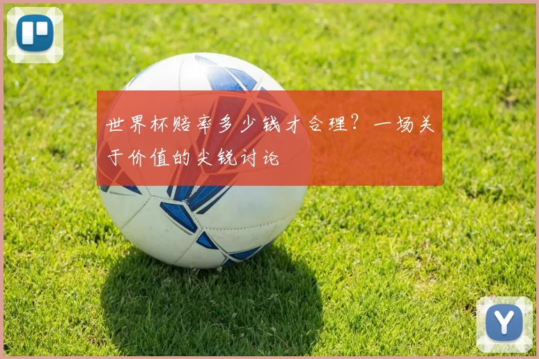 世界杯赔率多少钱才合理?一场关于价值的尖锐讨论