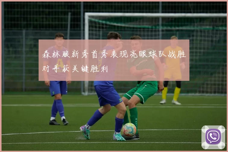 森林狼新秀首秀表现亮眼球队战胜对手获关键胜利